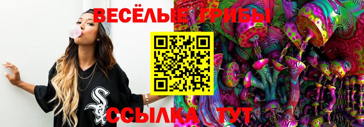 Каменск-Уральский  Галлюциногенные грибы Cubensis  Вход с VPN 